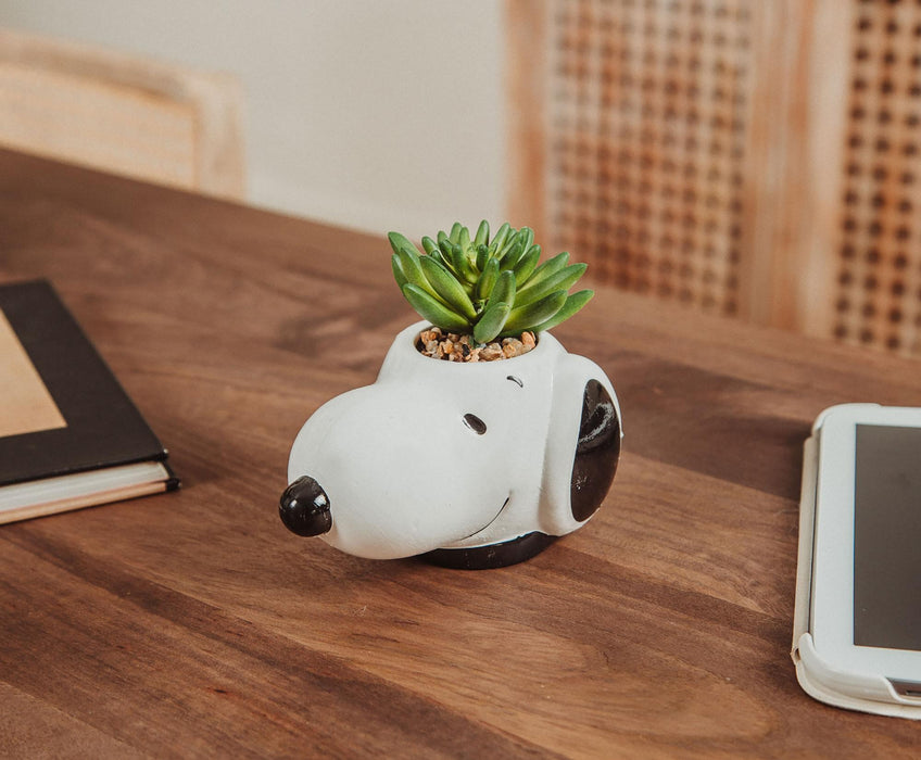 Peanuts - Snoopy Face Ceramic Mini Planter with Artificial Succulent