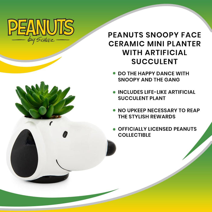 Peanuts - Snoopy Face Ceramic Mini Planter with Artificial Succulent