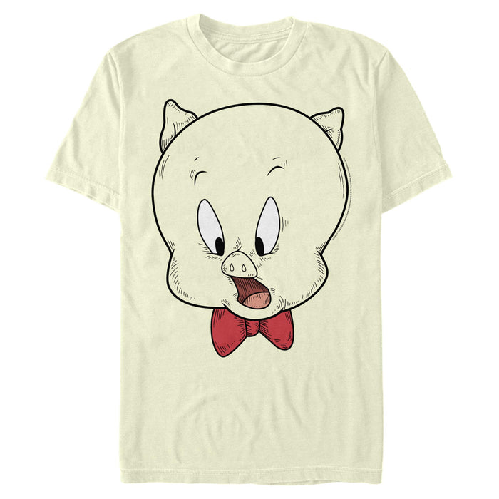 Looney Tunes - Porky Pig Face