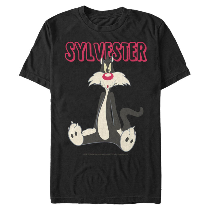 Looney Tunes - Sylvester the Cat