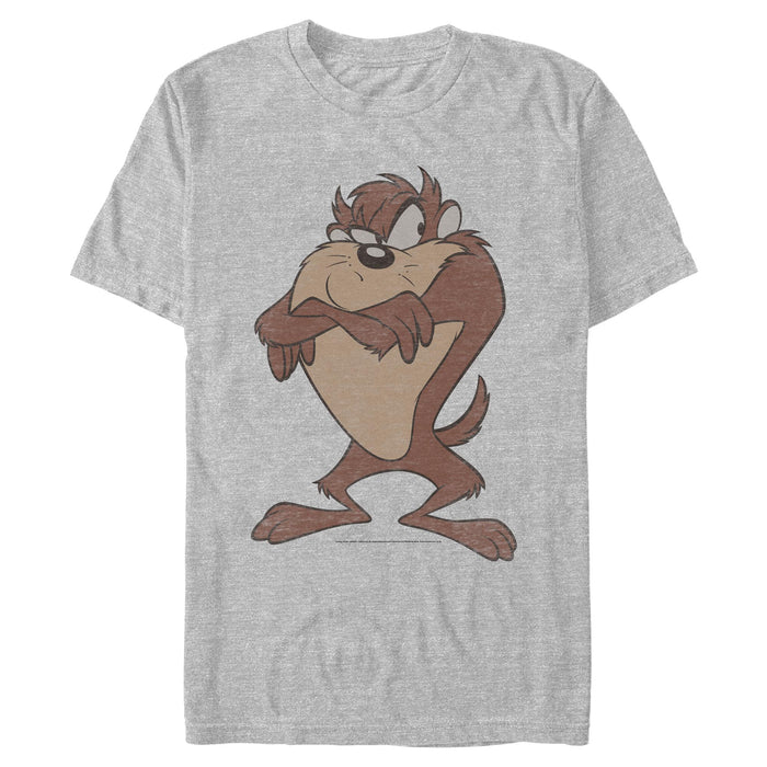 Looney Tunes - Stern Taz