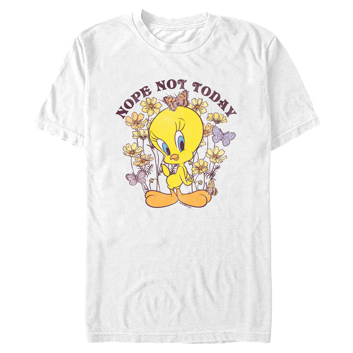 Looney Tunes - Nope Not Today