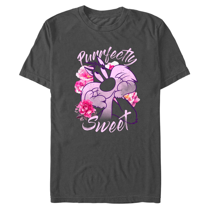 Looney Tunes - Artsy Sylvester