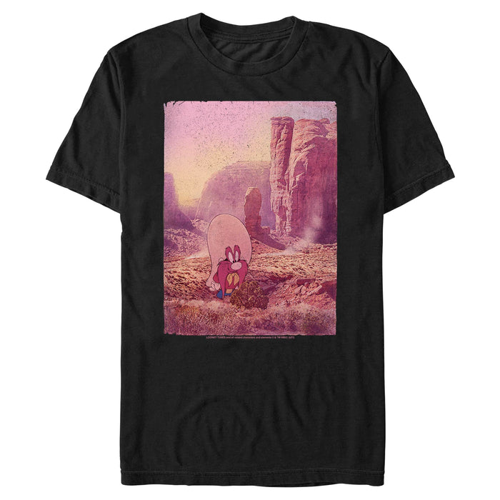Looney Tunes - Sam in Sedona