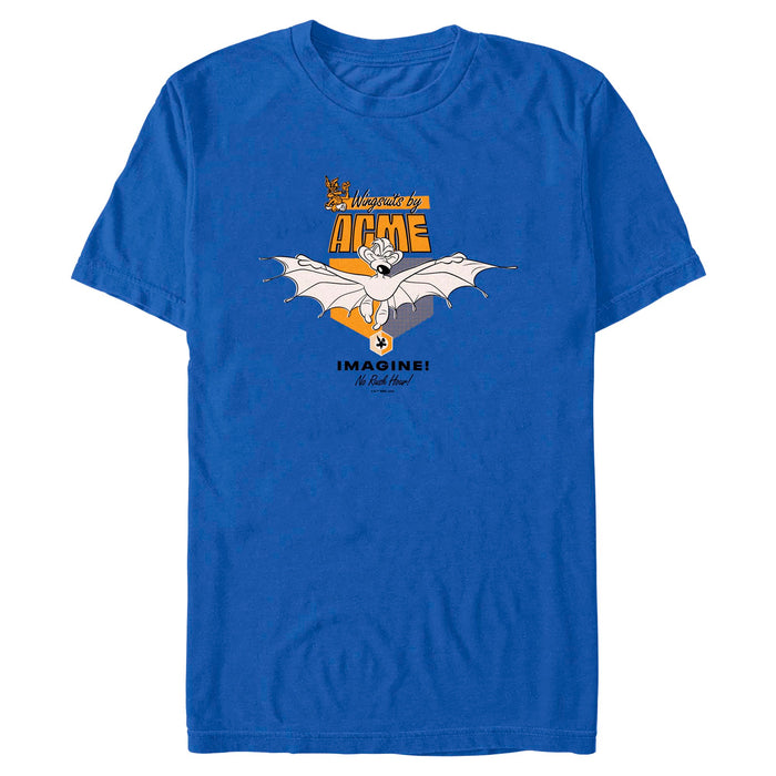 Looney Tunes - Wingsuit Coyote