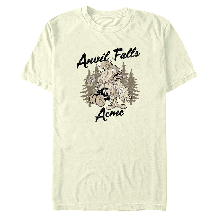 Looney Tunes - Anvil Falls