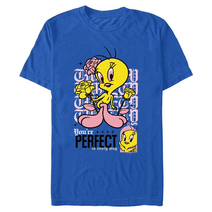 Looney Tunes - You Are Perfect