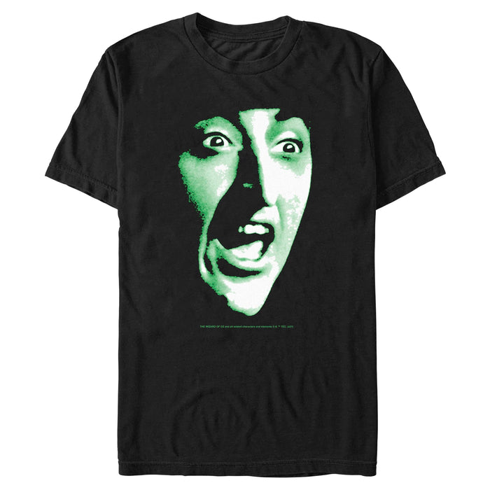 The Wizard of Oz - Wicked Witch Face
