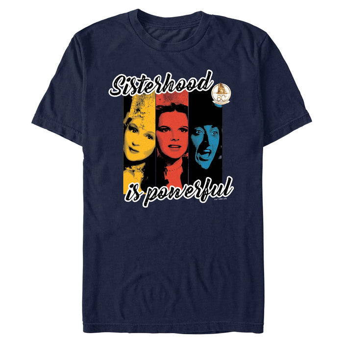 The Wizard of Oz - Sisterhood