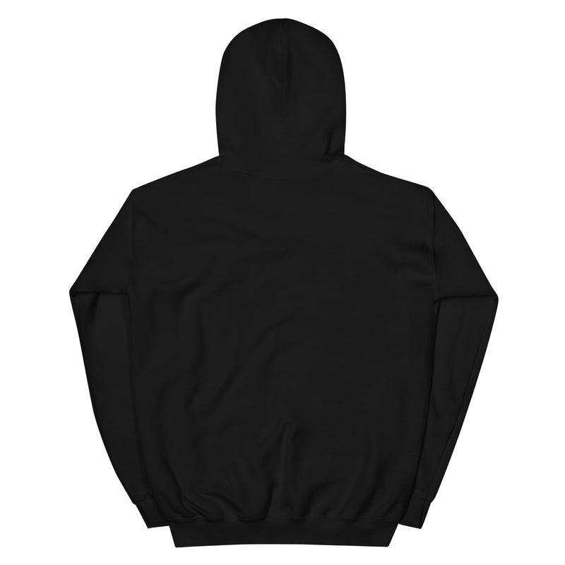 Back view of black pullover hoodie with a plain back and no visible graphic or text.