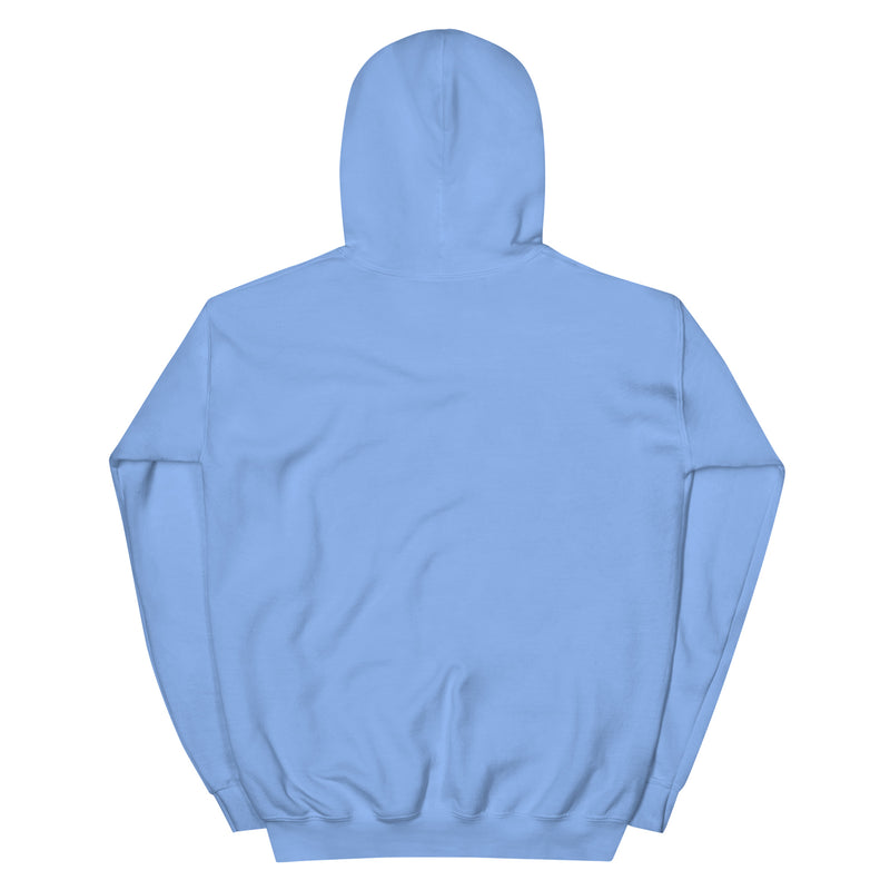 Back view of carolina blue Kerwyn Big Head Hoodie showing plain fabric with no graphic.