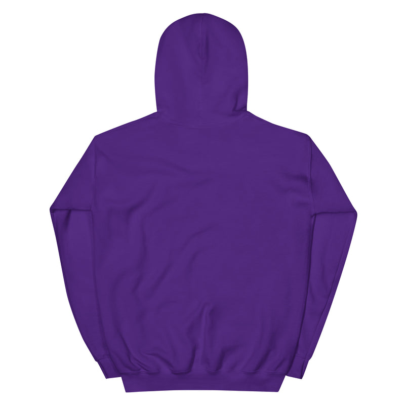 Back view of plain purple pullover hoodie with a fitted hood, long sleeves, and ribbed cuffs and hem, with no visible graphics or text.