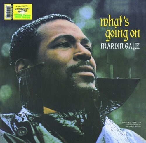 What's Going on (Vinyl) - Marvin Gaye