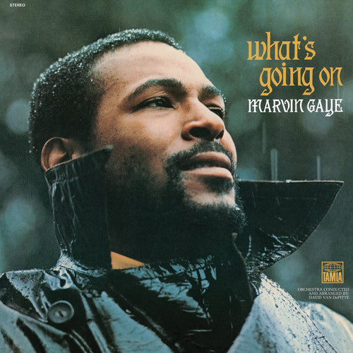 What's Going on (Vinyl) - Marvin Gaye