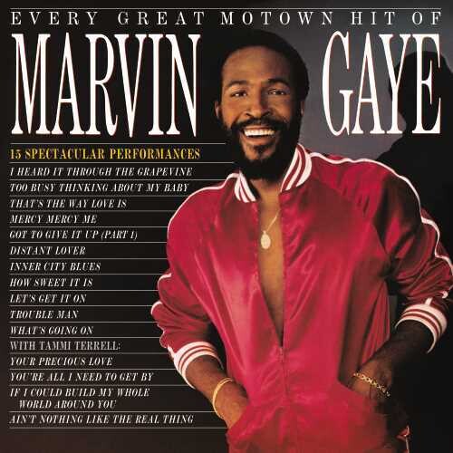 Every Great Motown Hit Of Marvin Gaye: 15 Spectacular Performances (Vinyl) - Marvin Gaye
