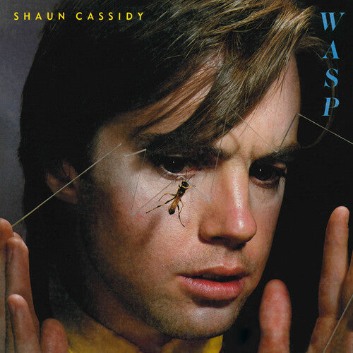 WASP (Vinyl) - Shaun Cassidy