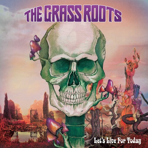 Let's Live For Today - Purple Haze (Vinyl) - The Grass Roots