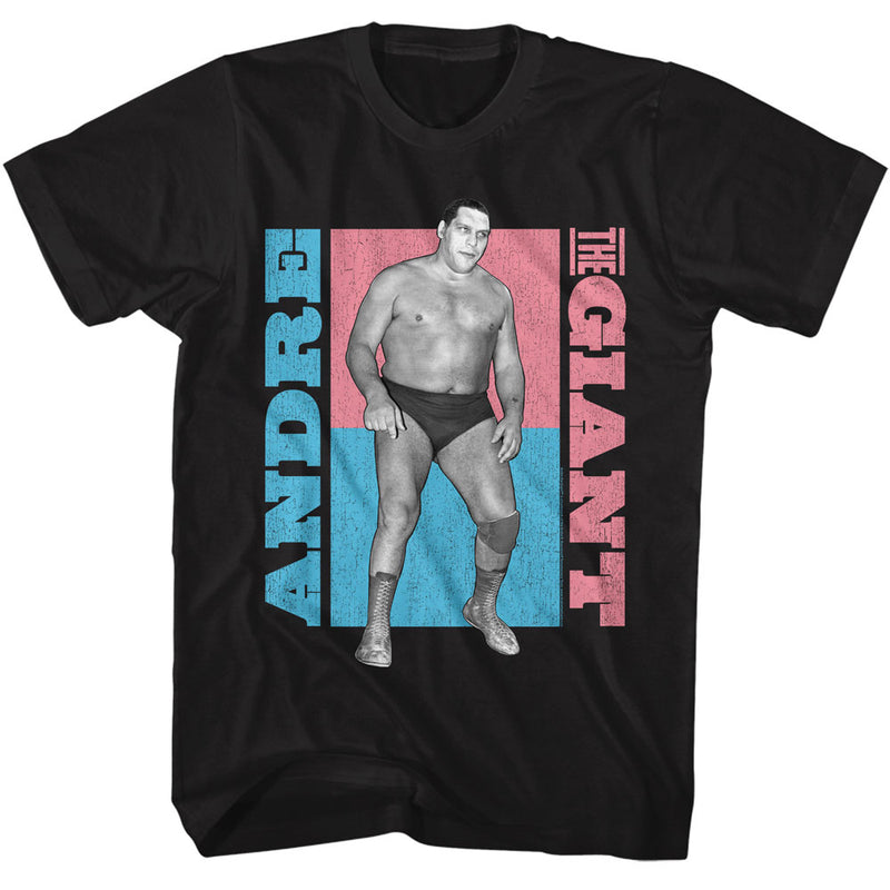 T-Shirt featuring design named Andre the Giant - Color Blocks