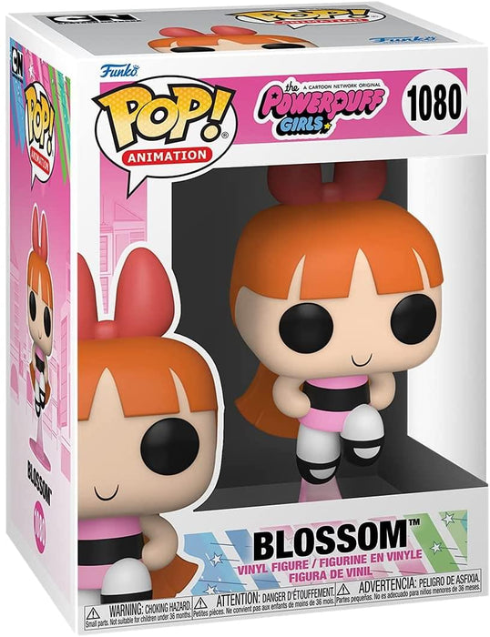 Powerpuff Girls Funko POP Vinyl Figure | Blossom