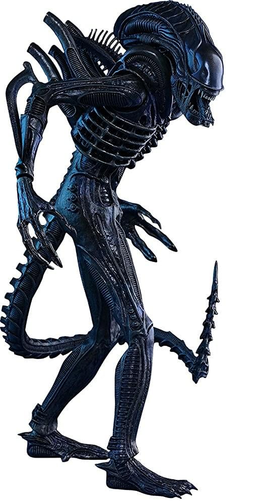 Aliens Alien Warrior 1:6 Scale Collectible Figure | Free