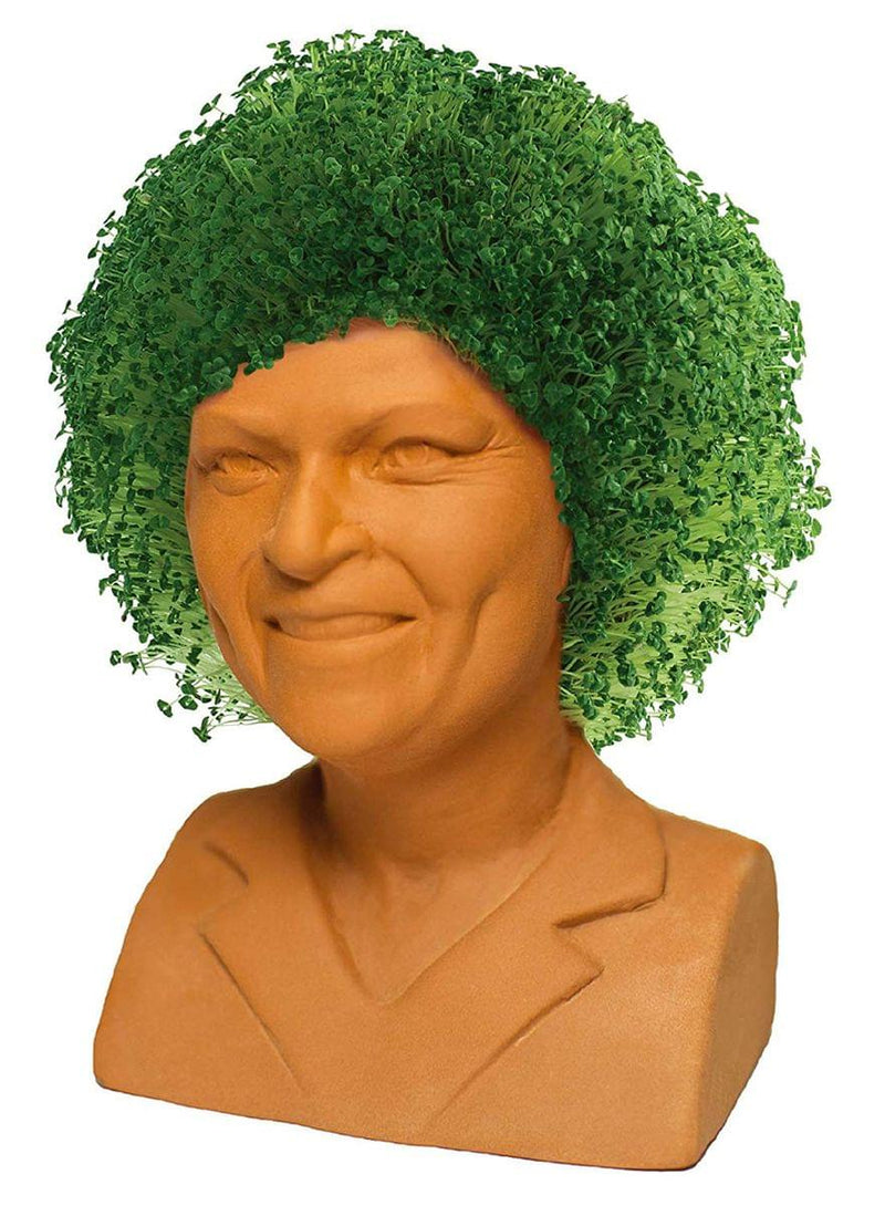 The Golden Girls Chia Pet Rose Decorative Pottery Planter product image 1 of 3