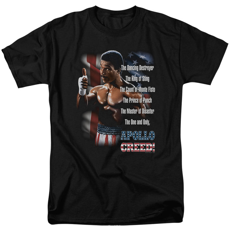 T-Shirt featuring design named Rocky - The One and Only, product image 1 of 2