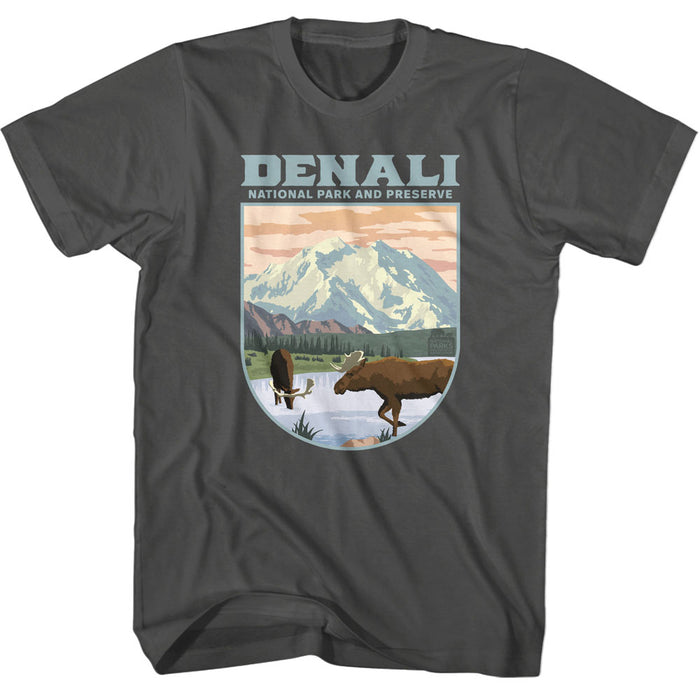 National Parks - Denali Landscape