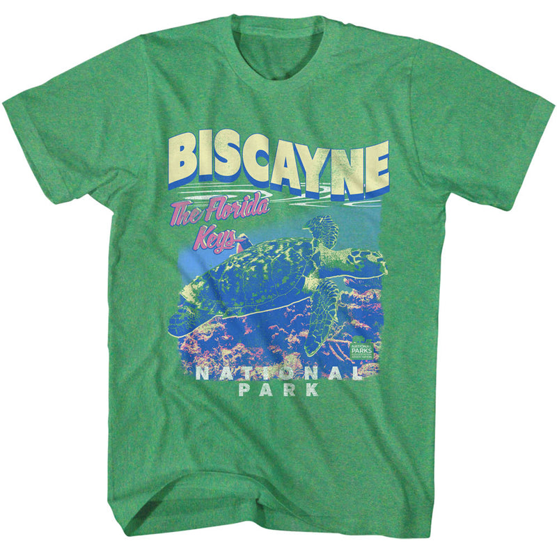 National Parks - Biscayne Turtle