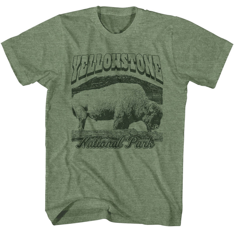 National Parks - Yellowstone Bison