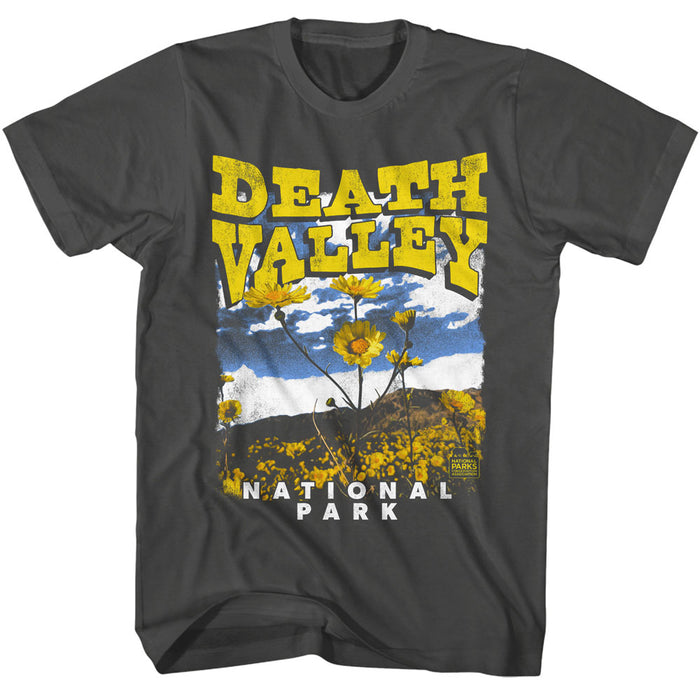 National Parks - Death Valley Marigolds