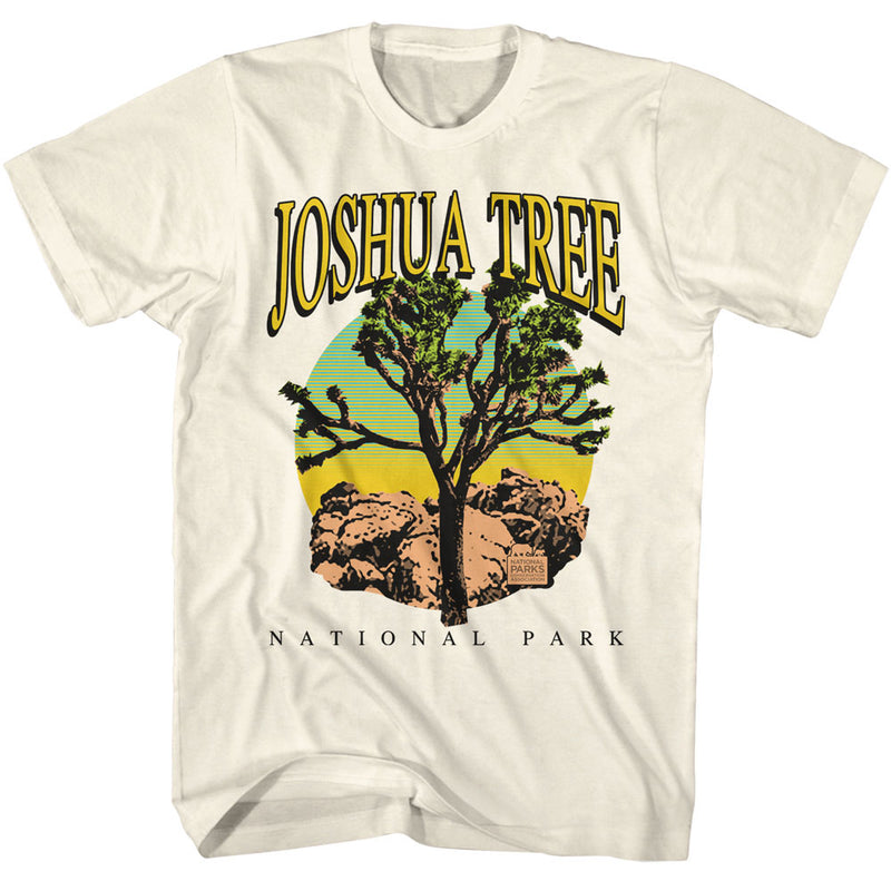 National Parks - Joshua Tree Sky Background