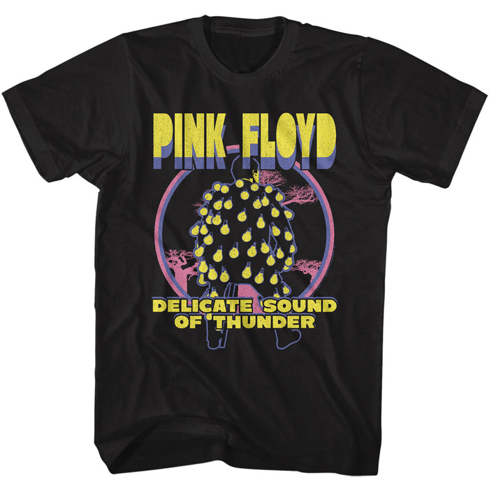 Pink Floyd - Delicate