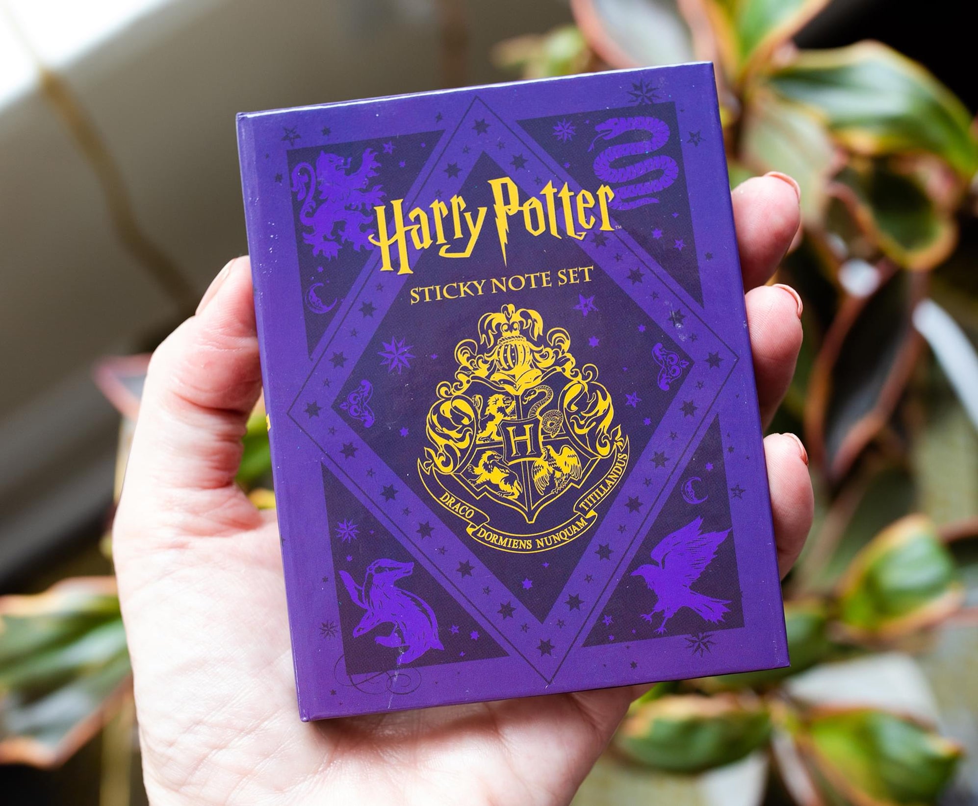 Harry Potter Hogwarts Sticky Note and Tab Box Set | Free Shipping ...