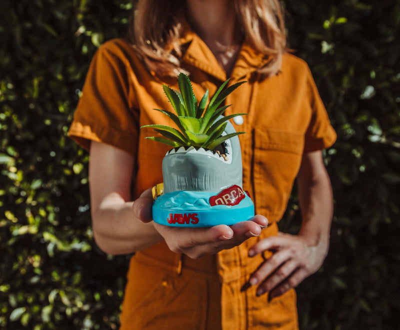 JAWS Shark 4-Inch Ceramic Mini Planter With Artificial Succulent product image 5 of 8