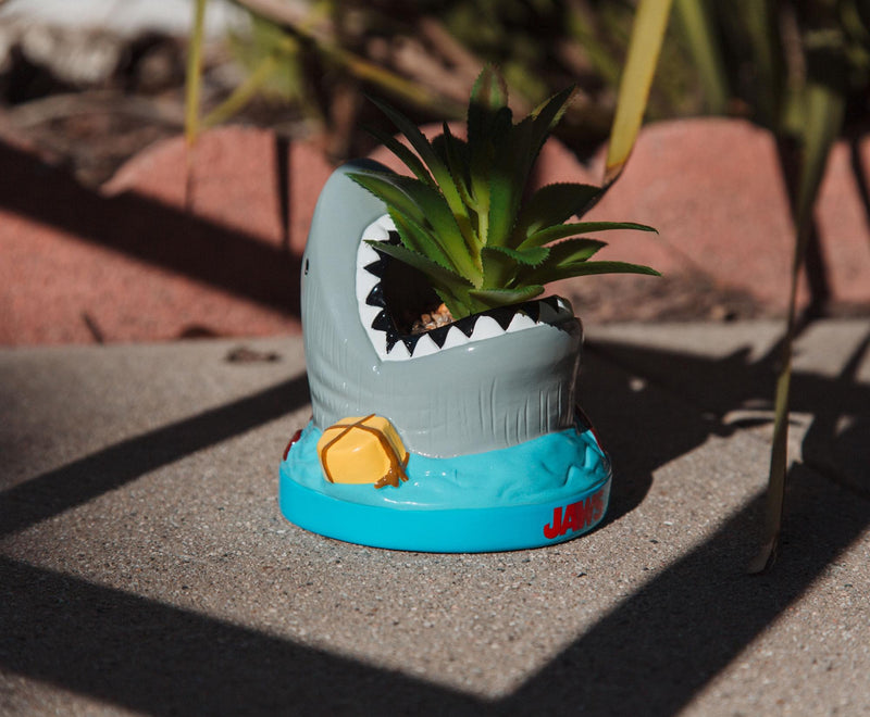 JAWS Shark 4-Inch Ceramic Mini Planter With Artificial Succulent product image 6 of 8