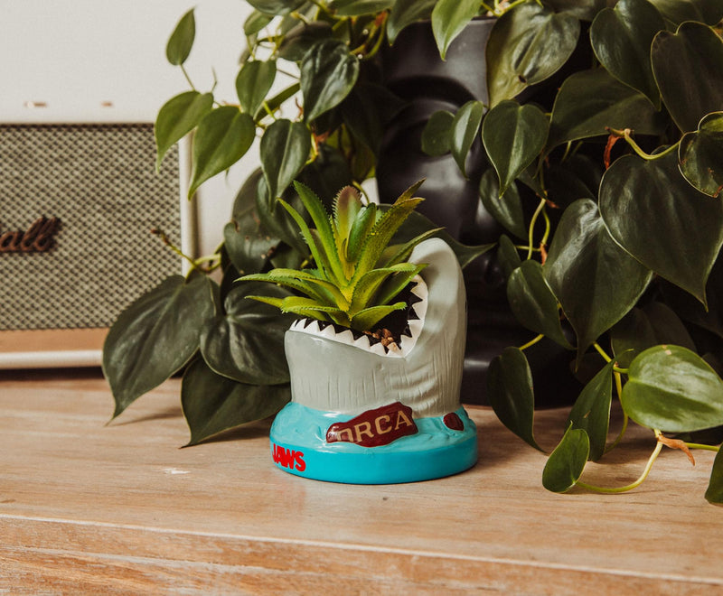 JAWS Shark 4-Inch Ceramic Mini Planter With Artificial Succulent product image 8 of 8