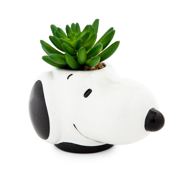 Peanuts Snoopy Face Ceramic Mini Planter with Artificial Succulent