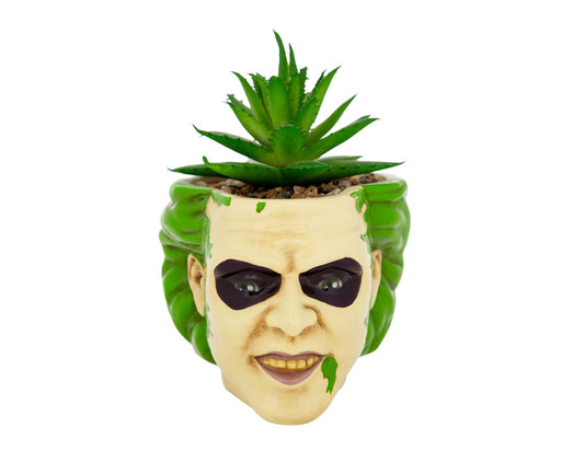 pineapple head succulent Beetlejuice Head Mini Planter