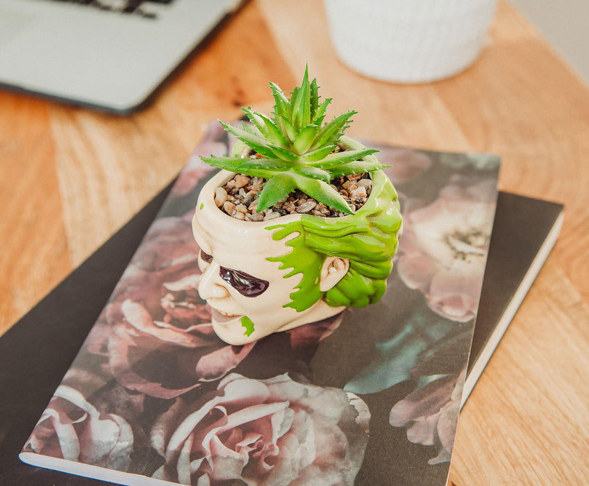 beetlejuice succulent Beetlejuice Head 3-Inch Ceramic Mini Planter with Artificial Succulent
