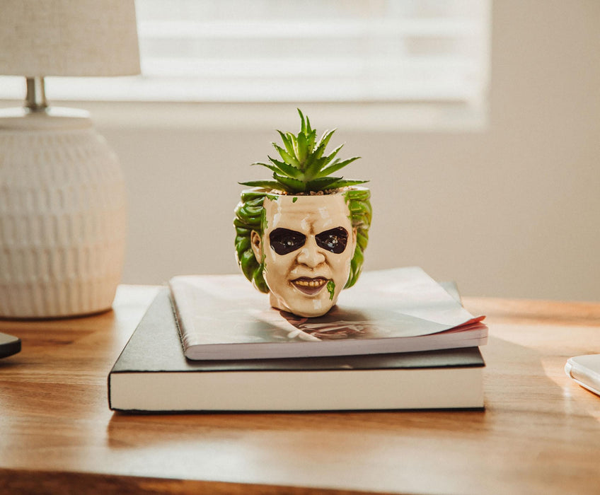 beetlejuice succulent Beetlejuice Head 3-Inch Ceramic Mini Planter with Artificial Succulent