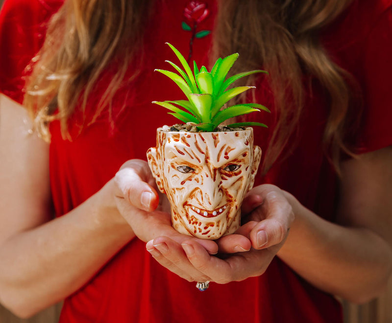 Person in a red top holding the Freddy Krueger face planter cupped in both hands, showing its size with the succulent on top.