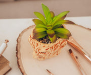 Top-down close-up of the Freddy Krueger planter showing the pebble soil and artificial succulent, set on a wood slice beside brushes.