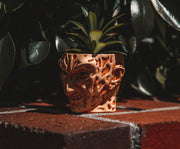 Freddy Krueger face planter with artificial succulent on a brick ledge in front of dark green leaves, with the sculpted face in shadow.