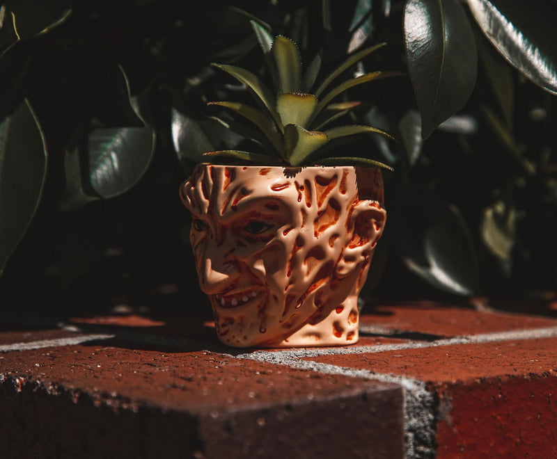 Freddy Krueger face planter with artificial succulent on a brick ledge in front of dark green leaves, with the sculpted face in shadow.