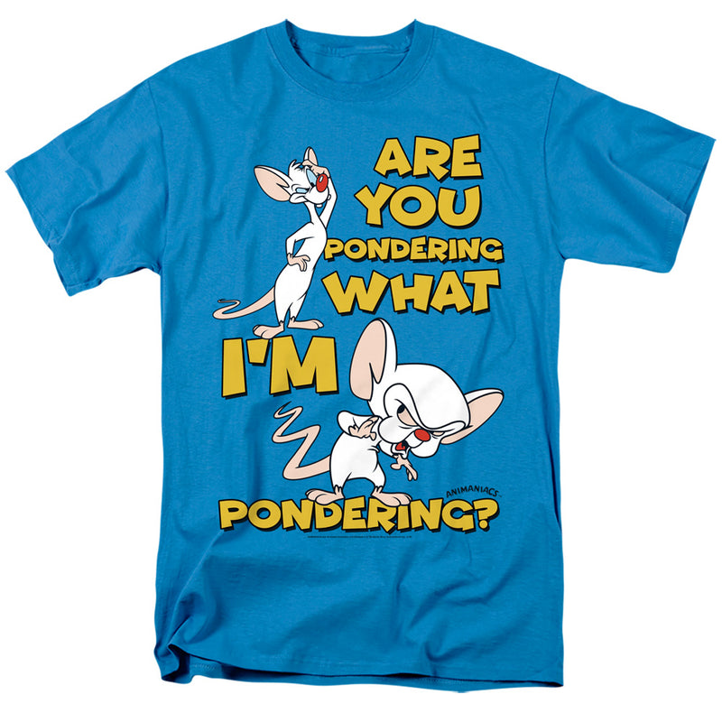 Turquoise t-shirt with cartoon mice Pinky and the Brain and yellow text 'ARE YOU PONDERING WHAT I'M PONDERING?'