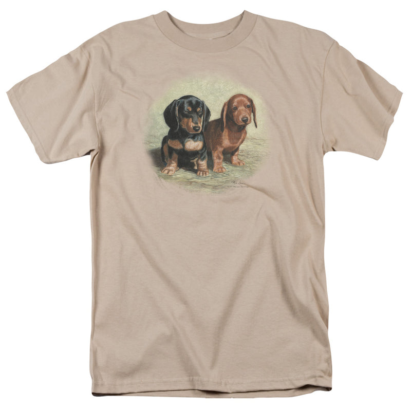 Wild Wings - Dachshund Pups