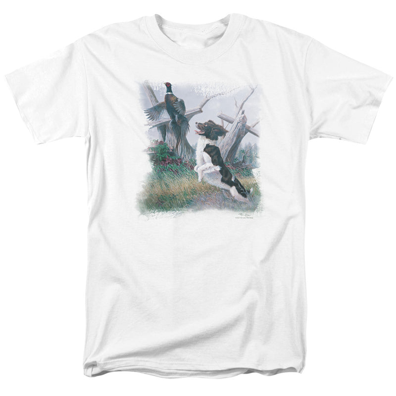 Wild Wings - Springer and Pheasant
