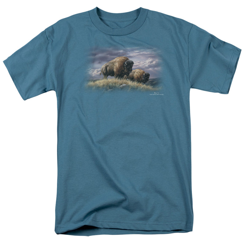 Wild Wings - Nomad of the Plains